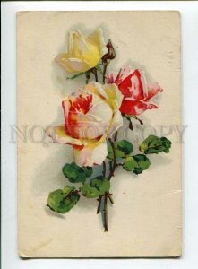 3134602 Yellow Pink ROSES Flowers by C. KLEIN Vintage RUSSIA PC