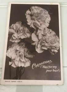 VINTAGE POSTCARD 1907 USED CARNATIONS PHOTO CARD MANY HAPPY RETURNS FOR THE DAY