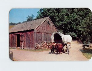 Postcard Ox Team hauling Covered Wagon, Farmers Museum, Cooperstown, New York