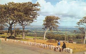 DUBLIN, Ireland  PEOPLE & DOG IN DUBLIN MTNS View of  CITY & BAY Chrome Postcard