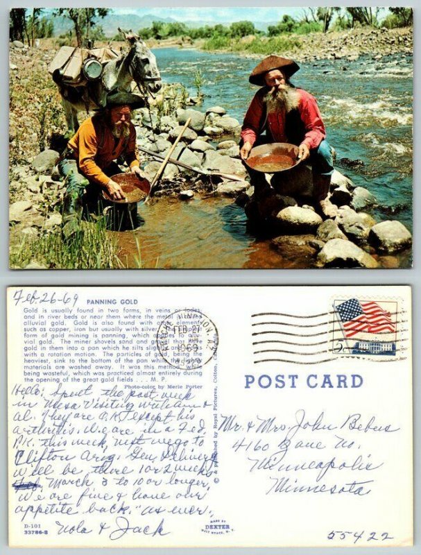 1969 Two Men Cowboy Hats Panning Gold River Stream Donkey Vintage  Postcard