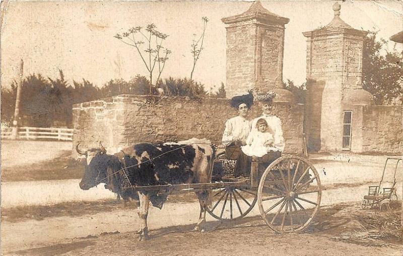 St Augustine FL Pulled Wagon Antique Baby Carriage Brooklyn NY Trolley Cancel