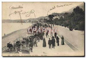 Old Postcard Menton Promenade du Midi Donkey Mule