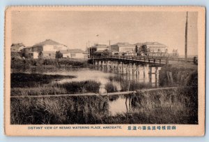 Hokkaido Japan Postcard Distant View of Nesaki Watering Place Hakodate c1920's