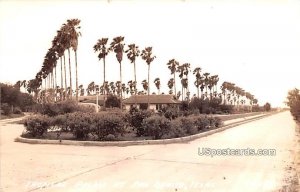 Tropical Palms - San Benito, Texas