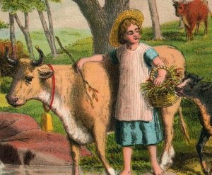 1879 Victorian Trade Card Bessie & The Calf Cute Girl Cows Creek #5 B