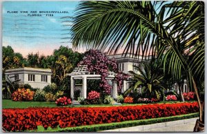1943 Flame Vine and Bougainvillea Florida Flowers Tree Trunks Posted Postcard