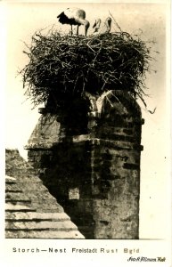 Austria - Freistadt Rust. Stork Nest    *RPPC