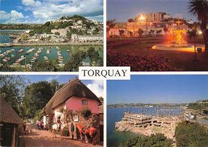 B100241 torquay devon  uk