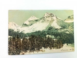 Vintage Postcard Swiss Alps Winter Mountains along Tree Line Scene