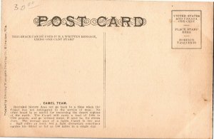 Barnum & Bailey Circus Wagon Pulled by Camels Vintage Postcard U02