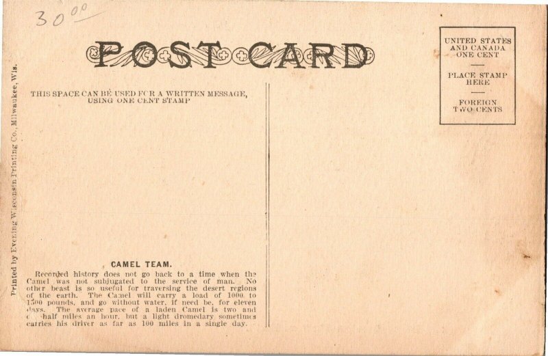 Barnum & Bailey Circus Wagon Pulled by Camels Vintage Postcard U02