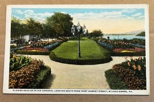 VINTAGE POSTCARD - UNUSED - FLOWER BEDS ON RIVER COMMON, WILKES-BARRE, PA