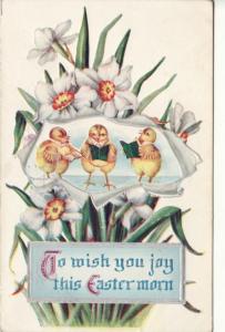 EASTER   DRESSED CHICKS SING / NARCISSUS 1910 postcard