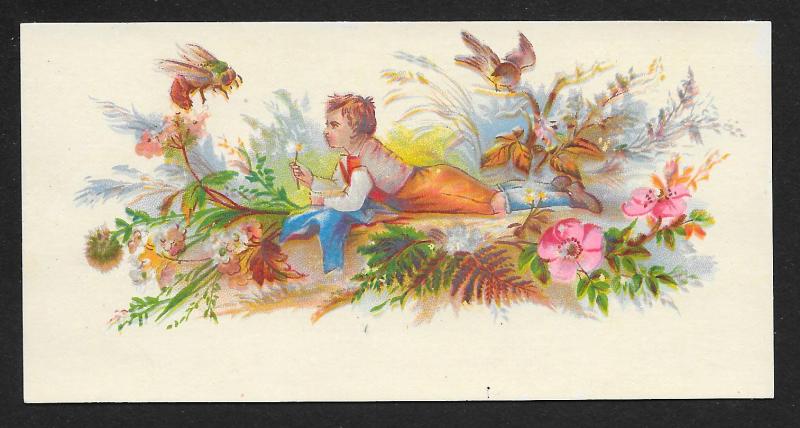 VICTORIAN TRADE CARDS (2) Stock Cards Boy in Flowers with Birds & Insect