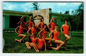 Weeki Wachee Mermaid Florida Postcard 11 Women In Red Swimsuits Chrome Unused