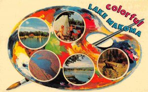 Greetings From Lake Makoma Multi View Palette Laporte Pennsylvania postcard