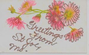 St Joseph Missouri Greetings From pink flowers glitter antique pc Z16551