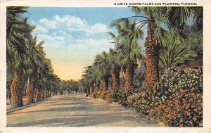 Drive Among Palms and Flowers - Trees, Florida FL  