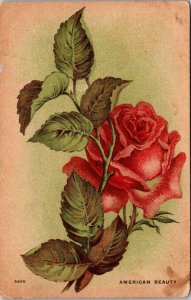 Painting Roses American Beauty 1909