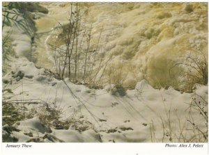 January Thaw, Hamilton, Ontario, Chrome Postcard