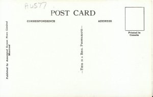 Canada Postcard - Field - Mount Stephen - British Columbia - RP - Ref TZ4212