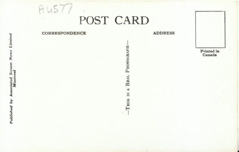 Canada Postcard - Field - Mount Stephen - British Columbia - RP - Ref TZ4212