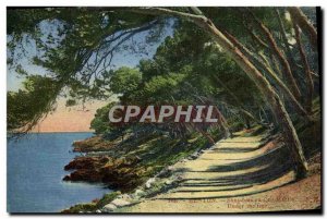 Old Postcard Menton Undergrowth in Cap Martin