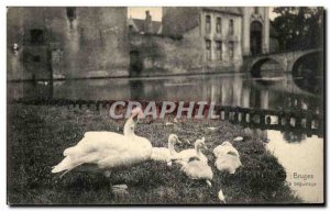 Old Postcard Belgium Bruges beguinage Swan Swan