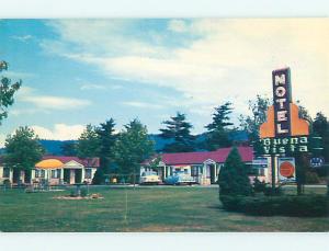 Unused 1950's OLD CARS & BUENA VISTA MOTEL Asheville North Carolina NC s5695-22