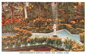 Postcard Chrysanthemum Flowers Display Jewel Box Forest Park St. Louis Missouri