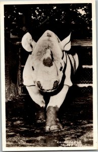 RPPC Rhinoceros, Toledo Zoo OH Vintage Postcard K26