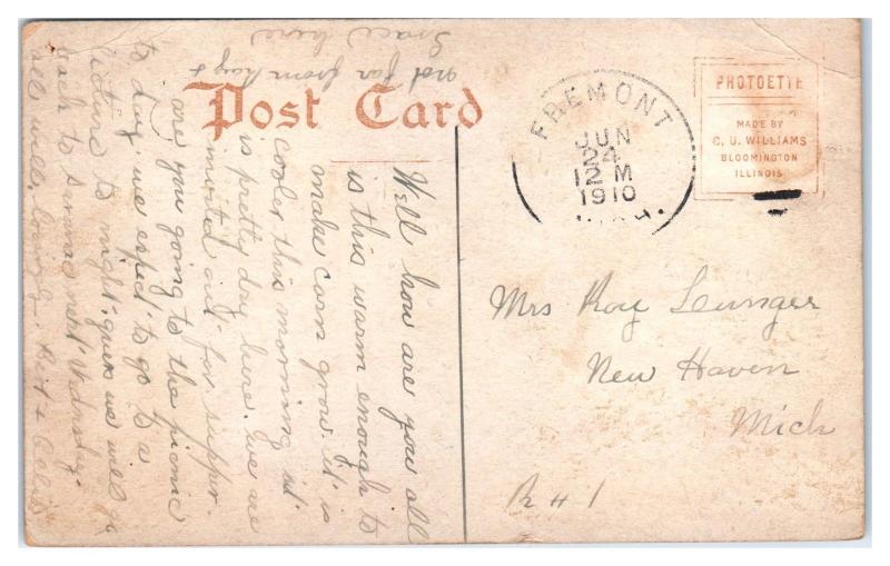 1910 De Hass Hotel, Fremont, MI Postcard