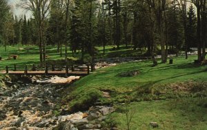 Vintage Postcard 1965 Tioga Creek Wayside Park On M 28 West Michigamme Michigan