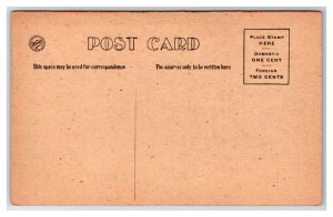 Comic Rooftop Renters The Towns Full of Us Red Background UNP DB Postcard I21