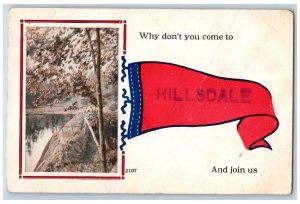 Hillsdale Wisconsin WI Postcard  Why Don't You Come And Join Us 1915 Antique