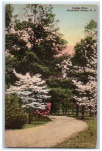 c1950's Hedge Row Southern Pines North Carolina NC Handcolored Postcard