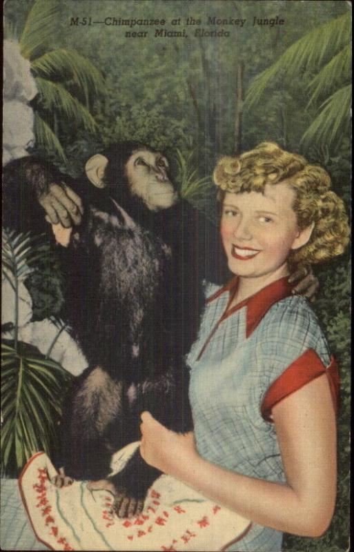 Miami FL Monkey Jungle Woman w/ Chimpanzee Linen Postcard