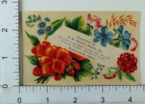 J.D Ross Drugs Boschee's German Syrup Green's August Flower Floral Image F62