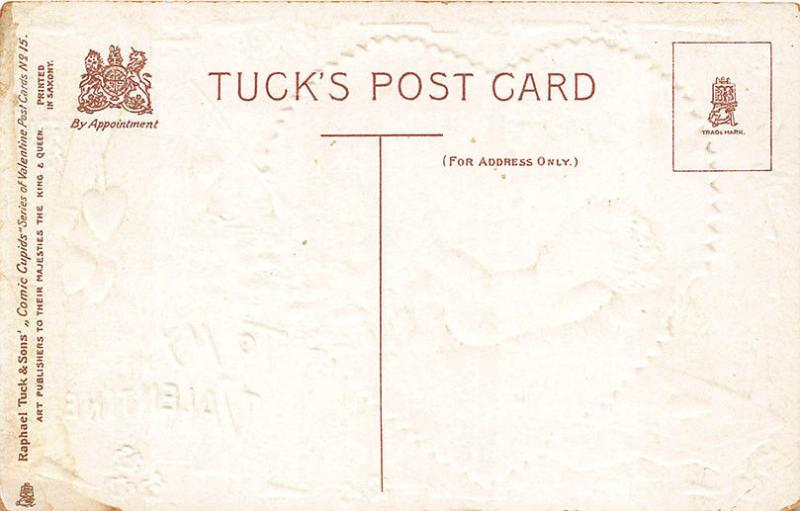 Valentines Day Comic Cupids A Roast Tuck #15 Postcard