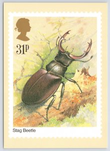 Animal~Stag Beetle-Gordon Beningfield~Stamp Design~Continental Postcard