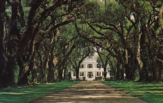 Louisiana Saint Francisville Live Oak Alley At Rosedown