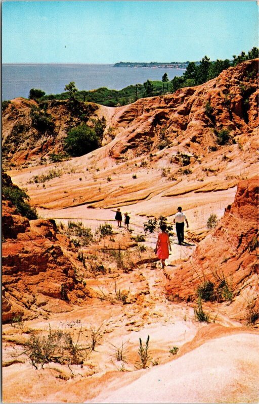 Red Clay Cliffs Scenic Highway Pensacola Bay Florida Fl Unposted Vtg Postcard 