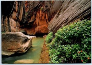 Postcard - Streams in Zion National Park - Utah