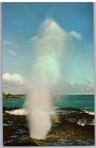 Spouting Horn Sea Water Geyser Caused by Waves in Coastal Cavern Hawaii Postcard