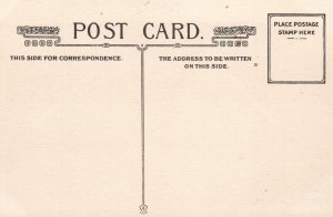 Vintage Postcard 1910's Steamer Alexander Hamilton of the Hudson River Day Line