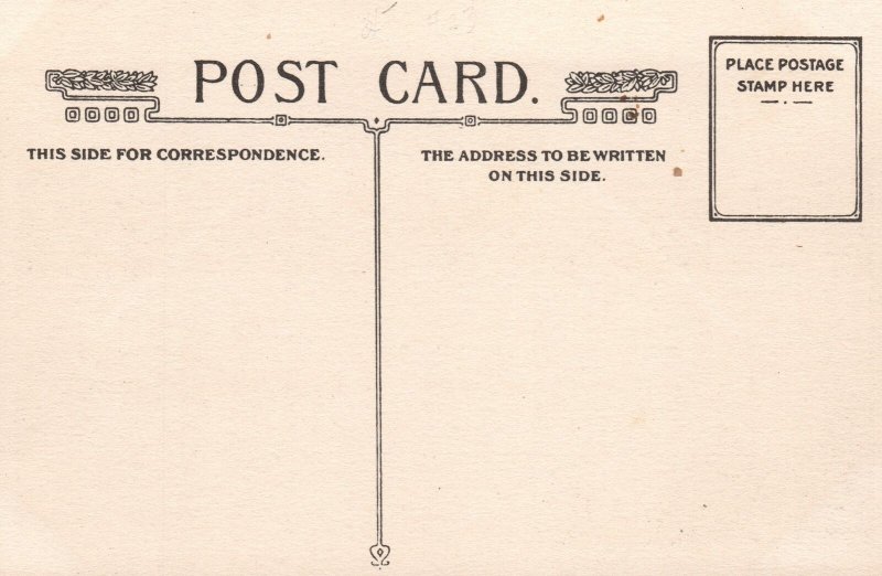Vintage Postcard 1910's Steamer Alexander Hamilton of the Hudson River Day Line