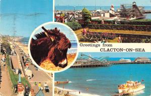 uk4518 greetings from clacton on sea uk