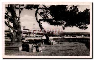 Ciotat - Pine forest of the Beach - Old Postcard