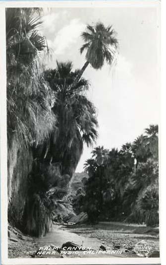 CA - Near Indio, Palm Canyon    *RPPC